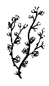 deba2.gif